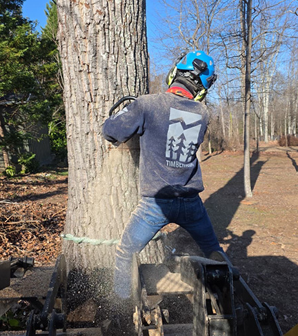 TimberTech crew member in a yellow hard hat, hearing protection, and climbing harness cutting a tree limb with a chainsaw while a wood chipper runs nearby